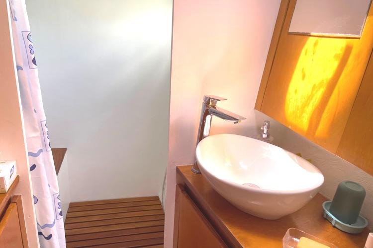 Modern bathroom with vessel sink, wooden accents, and shower curtain in Custom KSENIA 149, 2010.